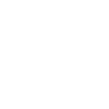 icon1 1